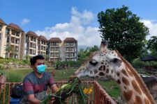 Hari Jerapah Sedunia, Jahari dan Kamil Dapat Tumpeng di Baobab Safari Resort - JPNN.com Jatim