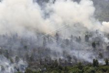 Puncak Kemarau, KLHK Ingatkan Potensi Kebakaran Hutan di NTT dan NTB - JPNN.com Bali
