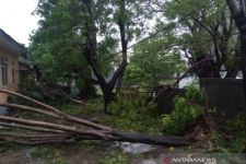 Tiga Pulau di NTT Diterjang Angin Kencang 45-50 Km/Jam, Ini Warning BMKG - JPNN.com Bali