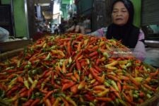 Tempat Makan Belum Dibuka Penuh, Serapan Cabai di Jatim Terhambat - JPNN.com Jatim