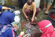 Sejumlah Guru di Kota Kediri Beternak Ikan Lele, Hasil Panennya Capai 1 Kuintal - JPNN.com Jatim