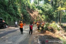 Pohon Tumbang, Jalur Gumitir Diberlakukan Sistem Buka-Tutup, Hati-Hati! - JPNN.com Jatim