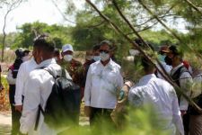 Pulau Lusi di Sidoarjo Ditanami Mangrove, Menteri KKP: Tumbuhkan Kehidupan Baru - JPNN.com Jatim
