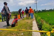 Warga Umbulsari Jember Ditemukan dengan Isi Perut Terburai - JPNN.com Jatim