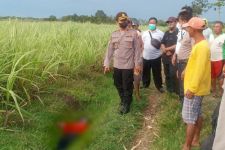 2 Petani Asal Kediri Ditemukan Tergeletak di Sawah, Nahas - JPNN.com Jatim