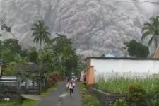 Gunung Semeru Erupsi, Masyarakat Diminta Tak Mendekat Dalam Radius 5 KM - JPNN.com Jatim
