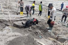 Belasan K-9 Masih Bersiaga Mencari Korban Erupsi Gunung Semeru - JPNN.com Jatim