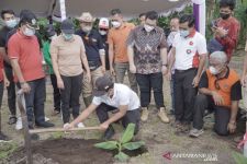 Bangli Kembangkan Pisang Cavendish di Lahan 1,7 Ha, Dongkrak PDRB Sektor Pertanian - JPNN.com Bali