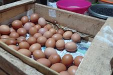 Harga Telur di  Surabaya Masih Mahal, Pedagang Ikutan Puyeng Sepi Pembeli - JPNN.com Jatim