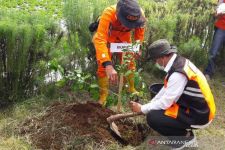 Degradasi Lingkungan Hidup Ancam Kawasan Pegunungan Temanggung, Ribuan Bibit Ditanam - JPNN.com Jateng