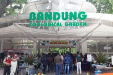 Ini Antisipasi Kebun Binatang Bandung Hadapi Lonjakan Pengunjung  - JPNN.com Jabar