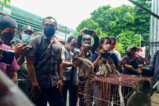 Cegah Rabies, Penjualan Kera Ekor Panjang di Denpasar Bali Dihentikan - JPNN.com Bali
