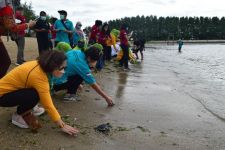 BKSDA Lepasliarkan 40 Tukik di Sanur, Tatanan Pantai Buat Penyu Kabur - JPNN.com Bali