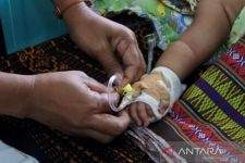 Kasus Demam Berdarah di NTT Naik Terus, Manggarai Barat Masih Rekor - JPNN.com Bali