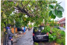 Daftar Kerusakan Akibat Angin Kencang di Bantul, Waspada Cuaca Ekstrem Lur - JPNN.com Jogja