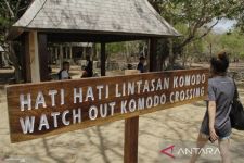 Taman Nasional Komodo Tekankan Empat Poin, Ranger Komodo Harus Orang Lokal, Ini Tujuannya Salut! - JPNN.com Bali
