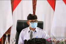 Bed untuk Pasien Covid-19 di Bali Tak Penuhi Standar WHO, Presentasenya Tak Main-main Tingginya - JPNN.com Bali
