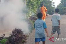 Demam Berdarah Dengue Marak di NTT, Begini Langkah Antisipasi Pemkot Kupang  - JPNN.com Bali