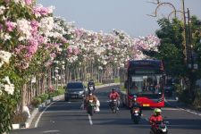 RTH Capai 22 Persen, Indeks Kualitas Udara Surabaya Terus Meningkat - JPNN.com Jatim