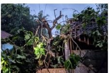 Daftar Kerusakan yang Timbul Akibat Cuaca Ekstrem di Bantul - JPNN.com Jogja
