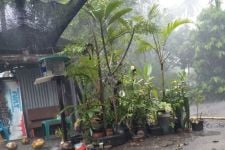 Prakiraan Cuaca di NTB: Jelang Bau Nyale Lombok Tengah Akan Diguyur Hujan, Ini Potensi Lainnya - JPNN.com Bali