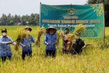Bantul Menjadi Kabupaten Food Estate, Bupati Ajak Pemuda Kembali Menggeluti Dunia Pertanian - JPNN.com Jogja