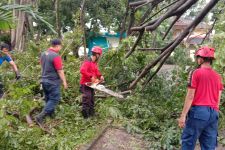 Hujan Disertai Angin Kencang, Puluhan Pohon Tumbang di Depok - JPNN.com Jabar