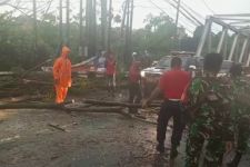 Diguyur Hujan Deras dan Angin Kencang, Sejumlah Pohon Besar di Kota Depok Tumbang - JPNN.com Jabar