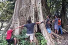 Ada Pohon Berusia 100 Tahun di Bojonegoro, Lokasinya Cocok Untuk Mengisi Hari Libur - JPNN.com Jatim