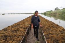 Teluk Bima Tercemar, Menteri Trenggono Akan Usut Tuntas - JPNN.com NTB