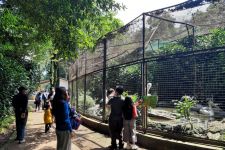 Hari Pertama Lebaran, Kebun Binatang Bandung Diserbu Wisatawan - JPNN.com Jabar