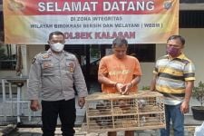 Pria Asal Bantul Ini Tergiur pada Burung Merpati Balap, Aksinya Diketahui Warga - JPNN.com Jogja