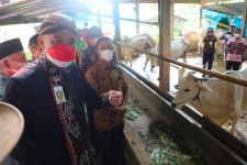37 Hewan Ternak di Jateng Positif PMK, Lalu Lintas Hewan dari Jatim Diperketat - JPNN.com Jateng