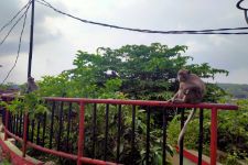 Kunjungan Wisatawan di Goa Kreo Semarang Meningkat Tajam - JPNN.com Jateng