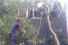 Akibat Cuaca Ekstrem, Satu Rumah Warga Rusak Berat Tertimpa Pohon Besar - JPNN.com Jabar