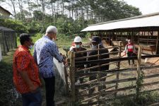 PMK Menyebar, Ganjar Siapkan Bantuan untuk Daerah - JPNN.com Jateng
