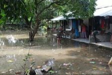 Akibat Pohon Tumbang, Belasan Rumah di Mampang Depok Terendam Banjir - JPNN.com Jabar