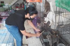 Kabar Terbaru Ratusan Kucing yang Ditelantarkan Pemiliknya Dalam Ruko, Ada yang Siap Adopsi? - JPNN.com Jatim