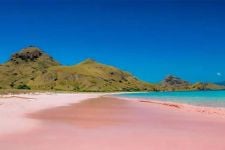 Pantai Pink di Lombok Timur, Satu dari Tujuh di Dunia - JPNN.com NTB