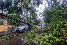 Pohon Tumbang di Kantor DPRD Timpa Mobil Pegawai BPN Kota Depok - JPNN.com Jabar