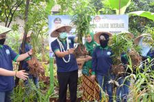 Pemkab Bogor Resmikan Kampung Herbal di Desa Pamegarsari - JPNN.com Jabar