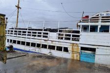 214 Sapi Sumbawa Tiba di Belitung, Umat Muslim Terselamatkan - JPNN.com NTB