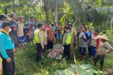 Apes Nasibnya, Lansia di Malang Tewas Tenggelam Saat Ambil Kelapa - JPNN.com Jatim