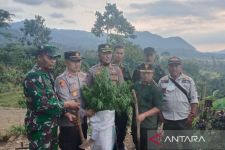 Polisi Kembali Menemukan Ladang Ganja di Gunung Karuhun Cianjur - JPNN.com Jabar