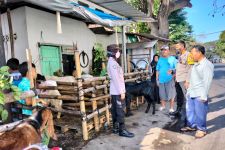 Jelang Iduladha, Polisi di Malang Gencar Datangi Tempat Penjualan Ternak - JPNN.com Jatim