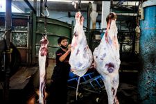 Waspada PMK, Jangan Satukan Daging Kurban dan Jeroan dalam Wadah! - JPNN.com Jabar