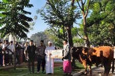 Pemprov Jabar Serahkan Sapi Limousin Seberat 1 Ton ke Masjid Raya Bandung  - JPNN.com Jabar