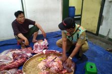 Pemkot Bandung Memusnahkan 369 kg Jeroan Sapi dan Domba Afkir - JPNN.com Jabar
