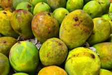 3 Manfaat Mengonsumsi Jus Mangga Campur Nanas, Siap-siap Anda Akan Merasakan Manfaat Ini - JPNN.com Lampung