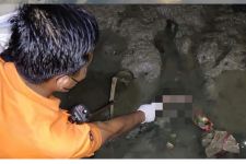 Bayi Umur 3 Hari Ditemukan Mengambang di Pantai Kenjeran Surabaya - JPNN.com Jatim